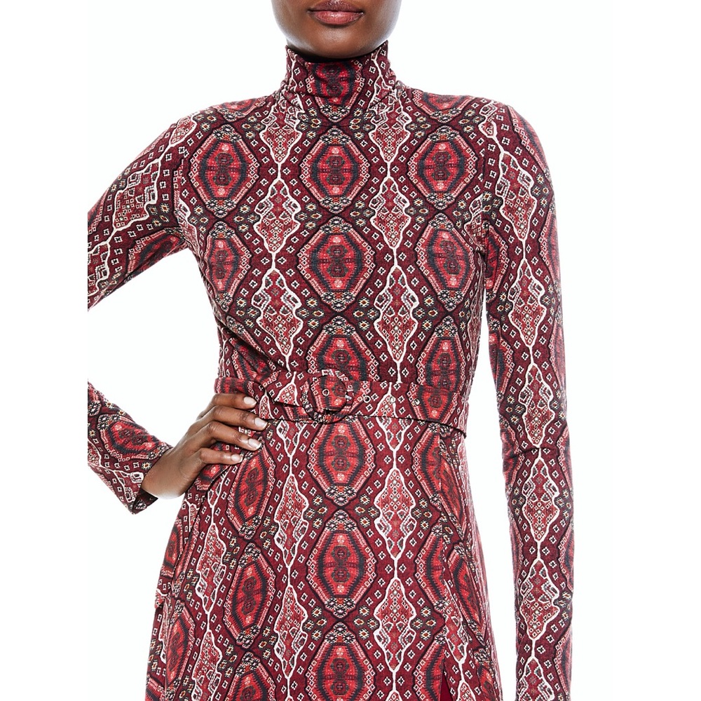 Alice + Olivia Clare Turtleneck Long Sleeve Midi Boho Burgundy Red Dress - Picture 15 of 16